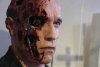 Il Cyborg Terminator